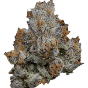 HOUSE THC-A FLOWER - LEMON CHERRY GELATO